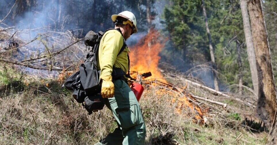 Prescribed fires planned in Idaho Panhandle National Forests