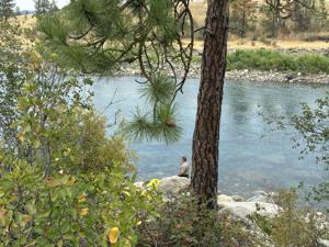 A man's body found floating in the Spokane River