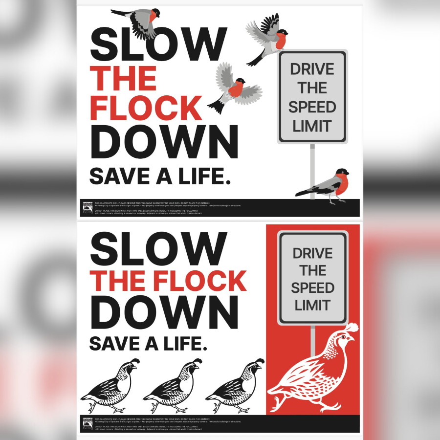 City of Spokane wants to buy 'Slow the Flock Down' signs to slow