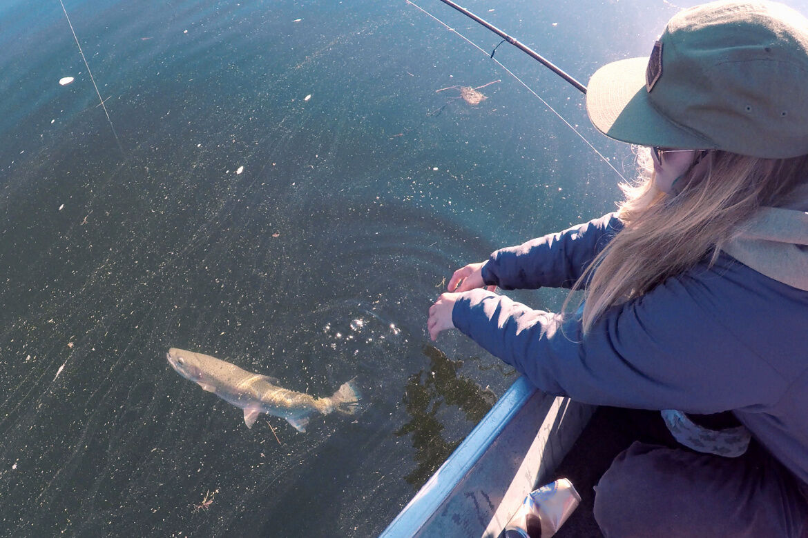 Angler breaks record by reeling in 24-inch cutthroat from Priest