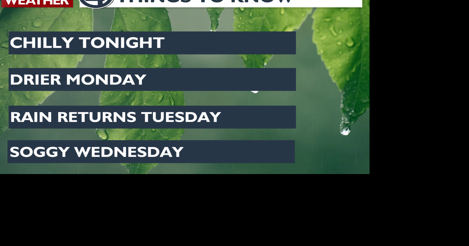 Get used to showery weather, more is on the way - Matt | Local News ...