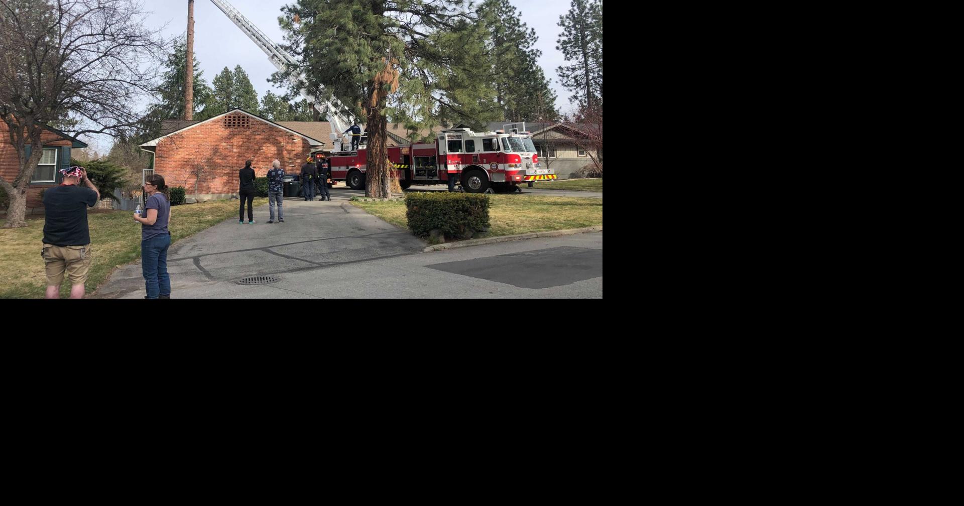 chainsaw accident Rockwood Local News