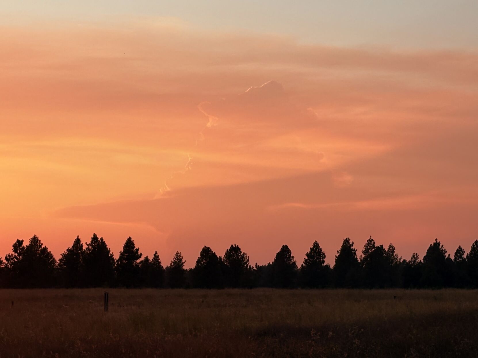 Washington wildfire creates towering