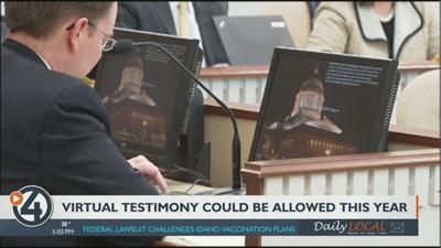 Virtual testimony could be allowed this year