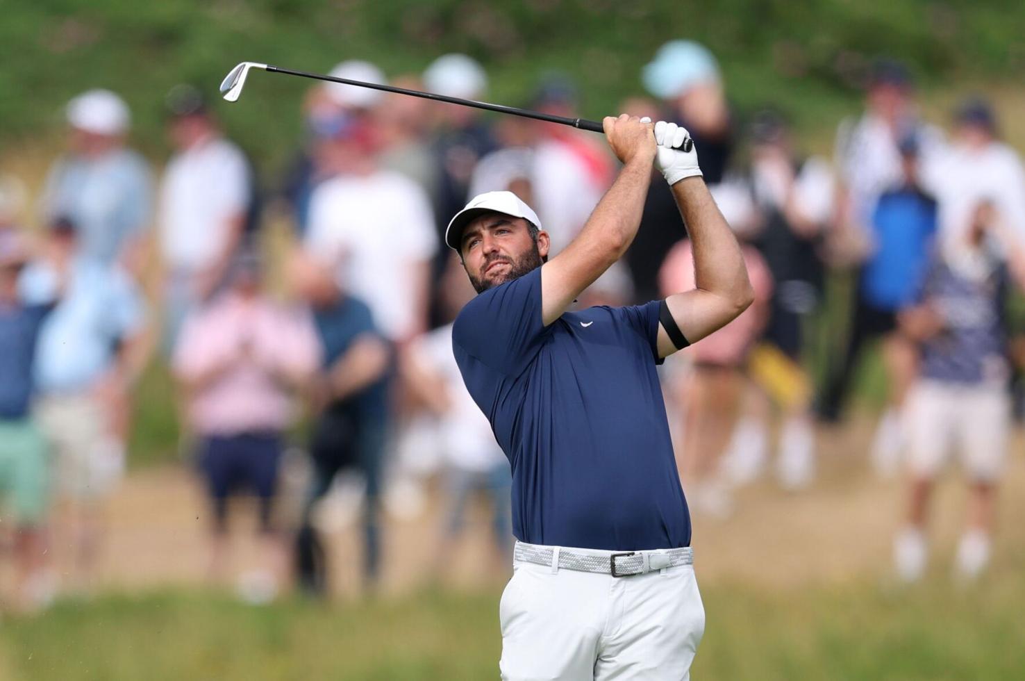 Scottish Terrier intelligence overview