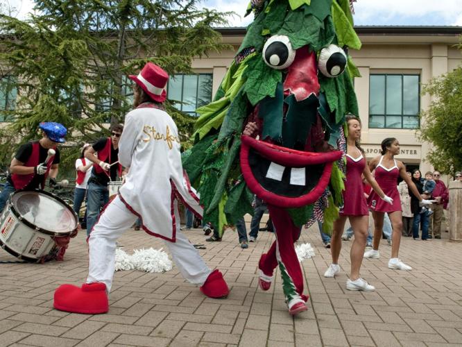 14 Funny, Crazy and Unusual College and Pro Sports Mascots – Scout Life  magazine