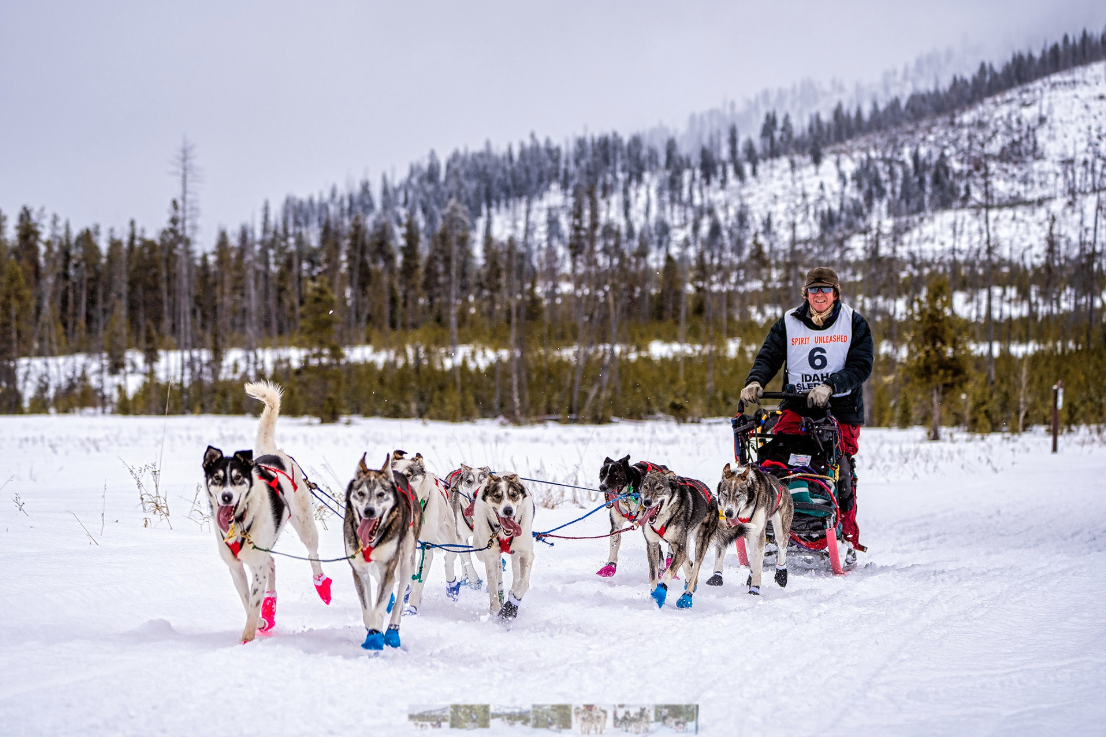 The Results Are In: Idaho Sled Dog Challenge's Warm Lake Stage Race ...