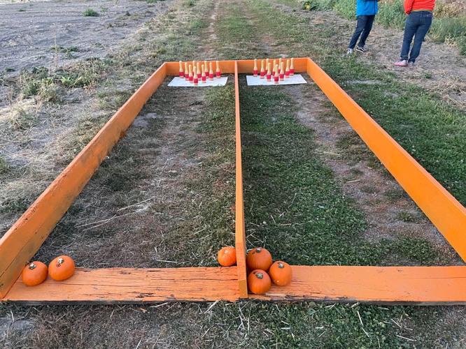 This Deer Park farm has everything you need to get into the fall spirit