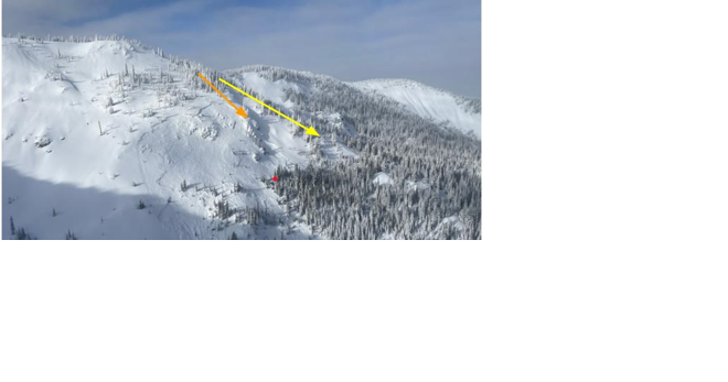 Tragic avalanche claims skier's life despite prior training and planning - Vimarsana News