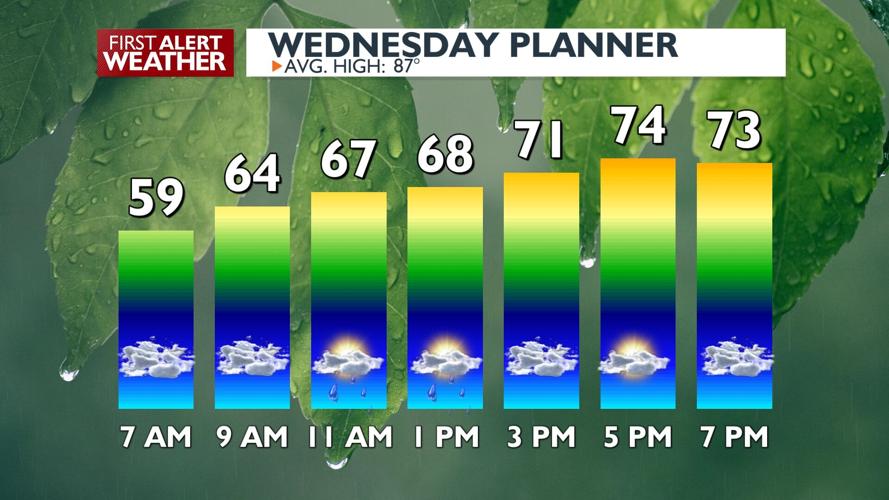 🌦️The weather we need: showers and temperatures in the 70s for ...