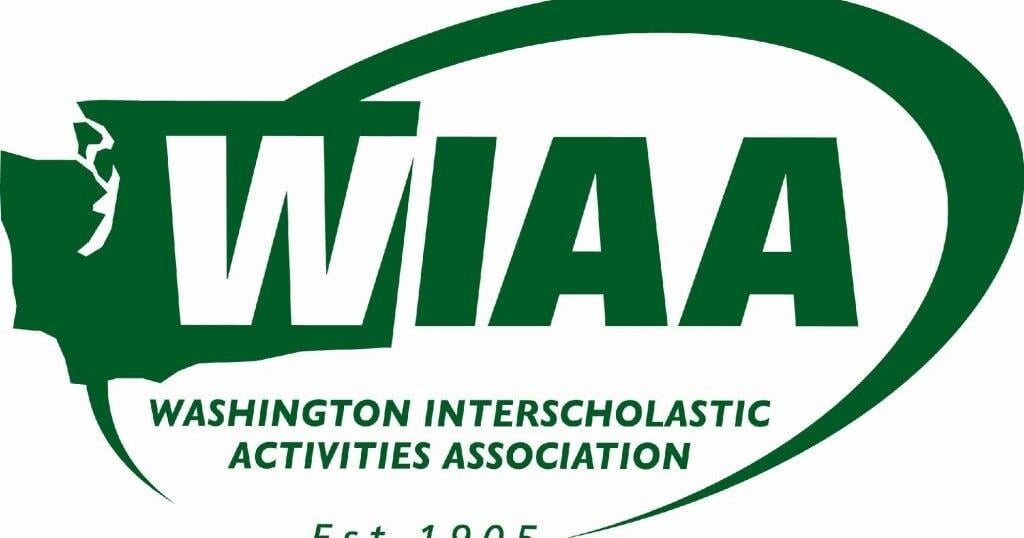 WIAA set to vote on girls' sports participation amendment