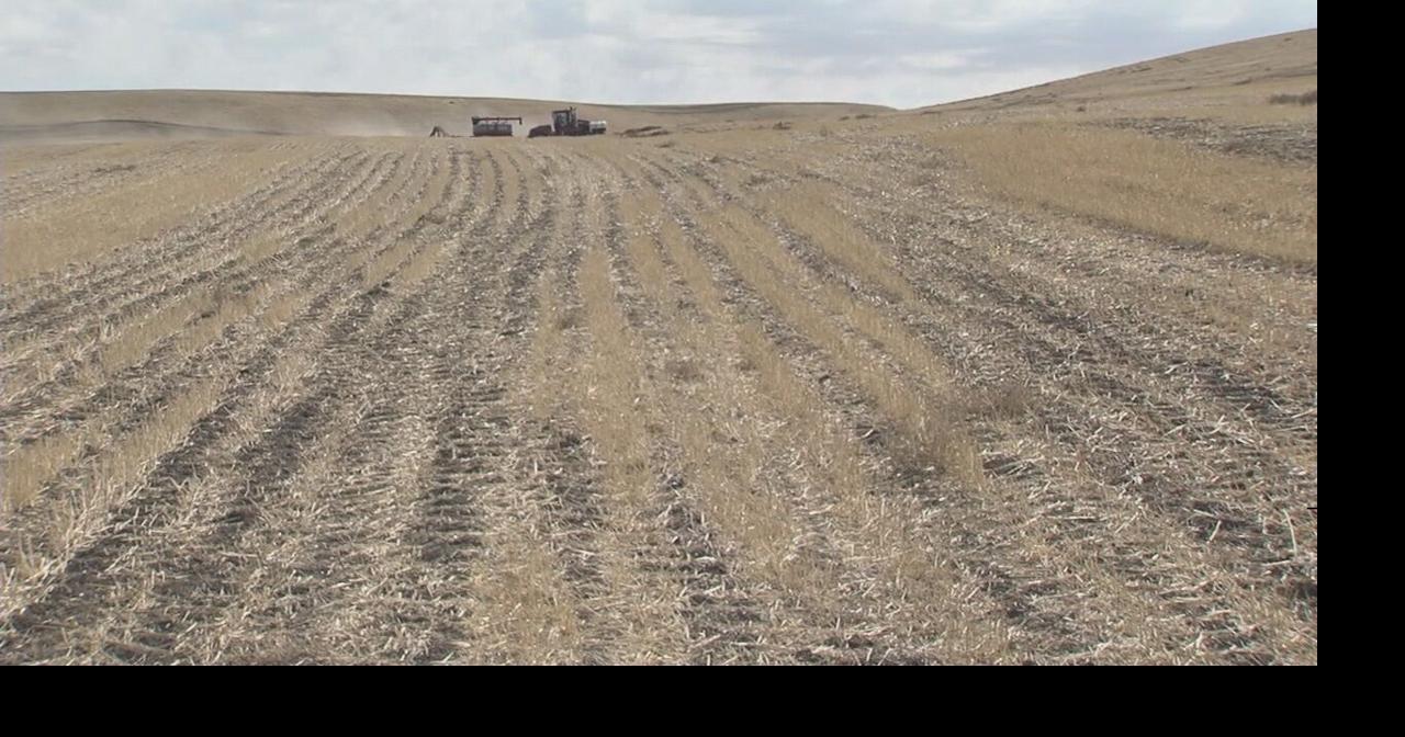 Farmers face consequences of ‘exceptional’ Northwest drought | Regional ...