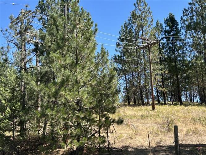 Inland Power invests millions to bury overhead lines, reduce fire risk ...