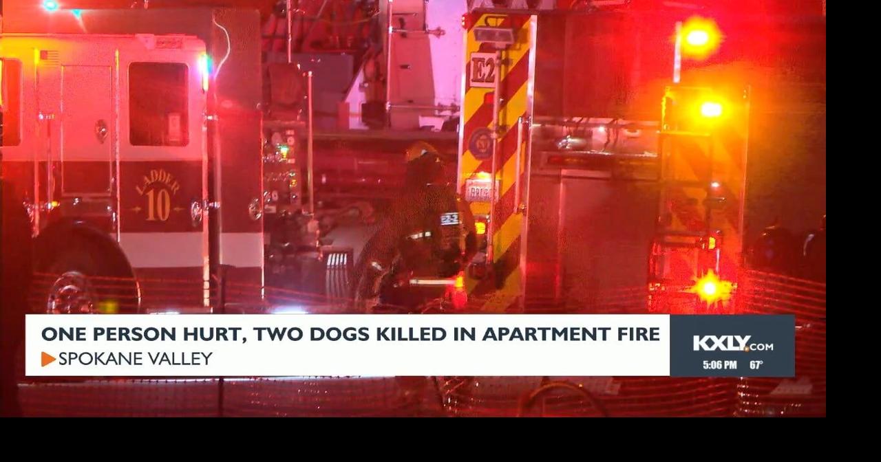 One person injured, two dogs killed in Spokane Valley apartment fire ...