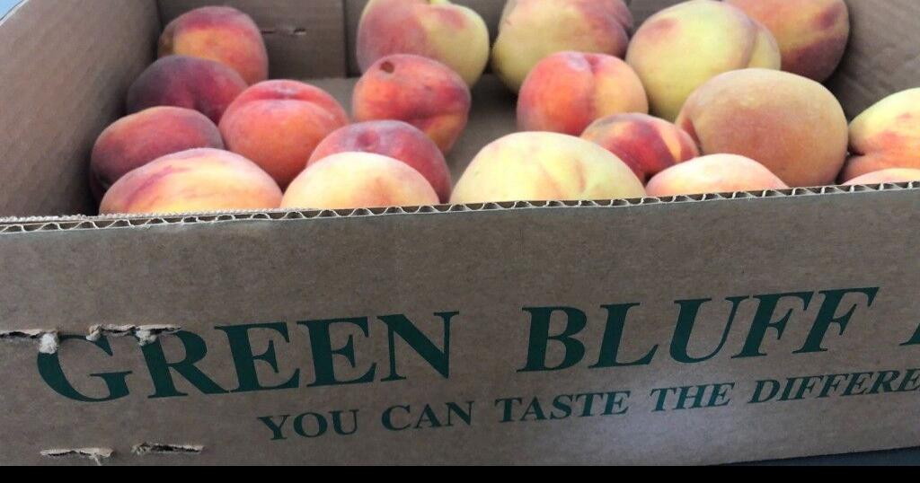 It’s a slow start to peach season on Green Bluff Family