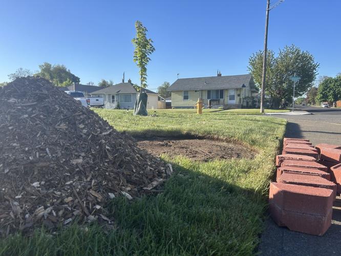 Spokane program works to address tree canopy inequality across ...