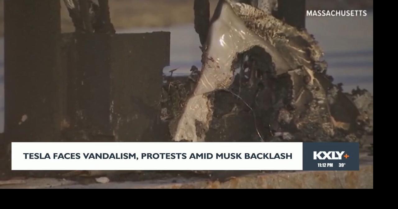 Tesla faces vandalism, protests amidst Musk backlash | Video | kxly.com