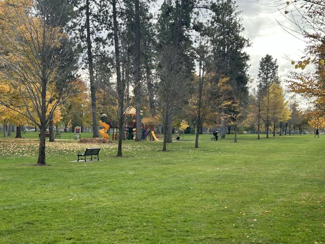 Spokane PD investigating overnight shooting in Comstock Park News