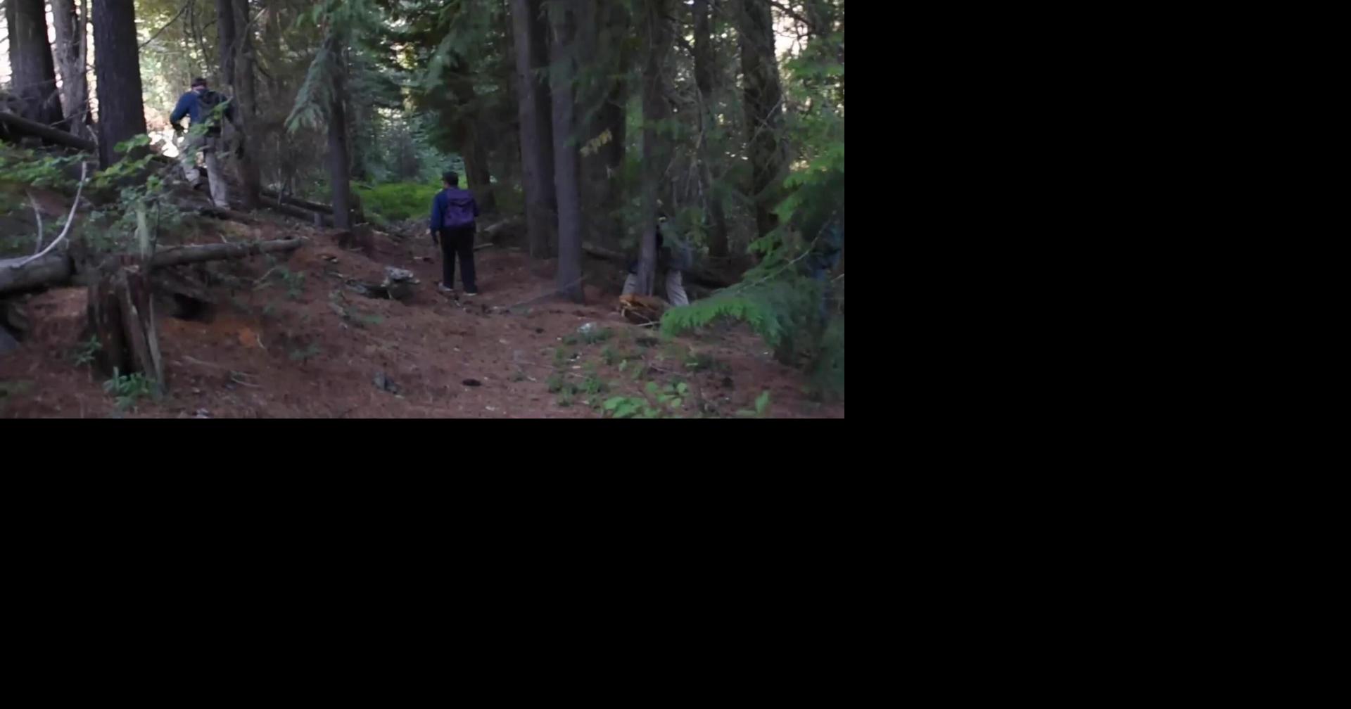 Over 100 people assisted in combing through 247-acre area during two ...