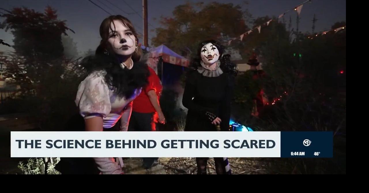 The science behind getting scared | Video | kxly.com