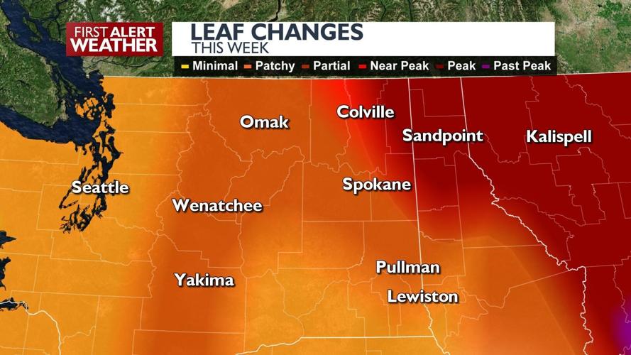 When and where to see beautiful fall foliage this season | Local News ...