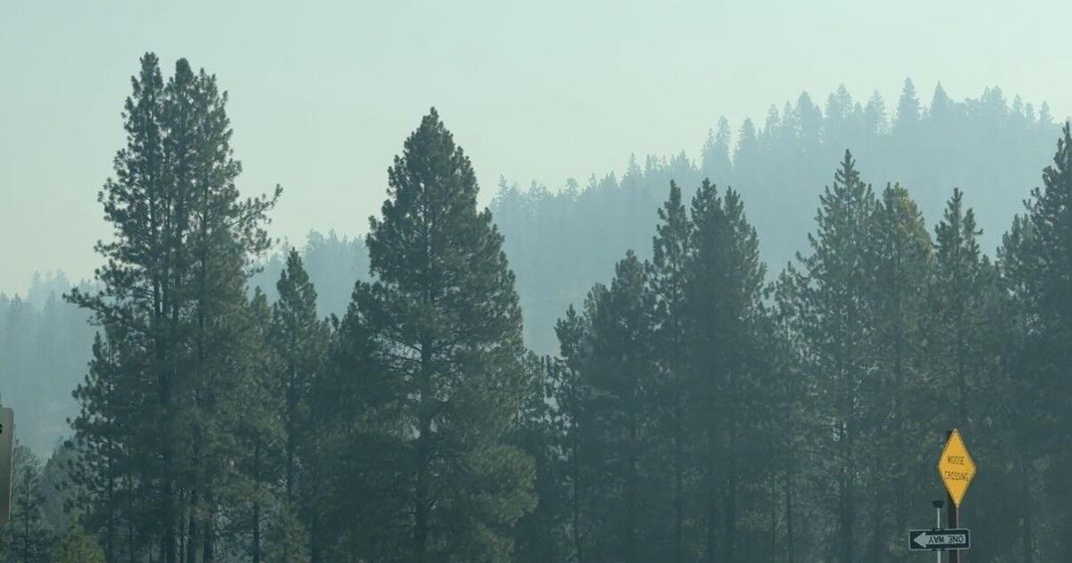 Smoke forces some events to cancel, businesses to change operations
