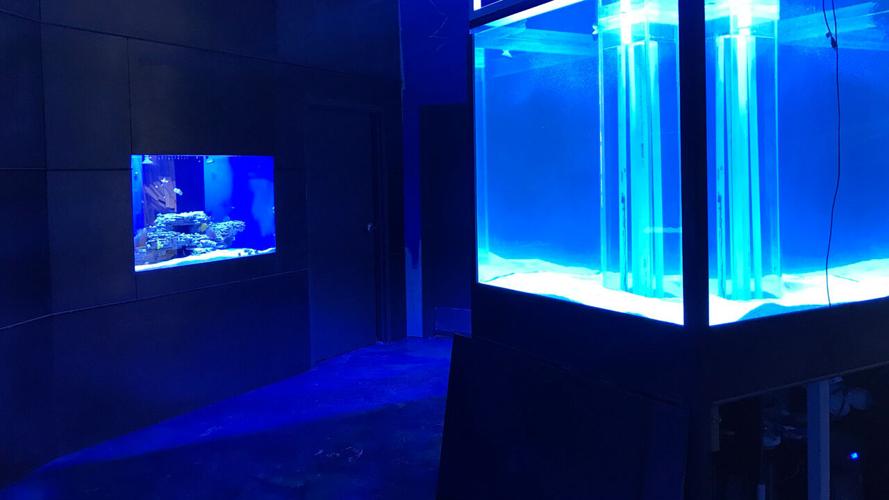 Interactive aquarium ‘Blue Zoo’ opens in the Northtown Mall today