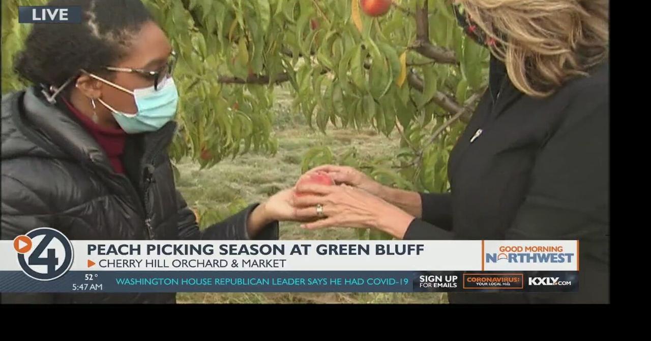 UPick Peaches It’s peach picking season at Green Bluff Food and
