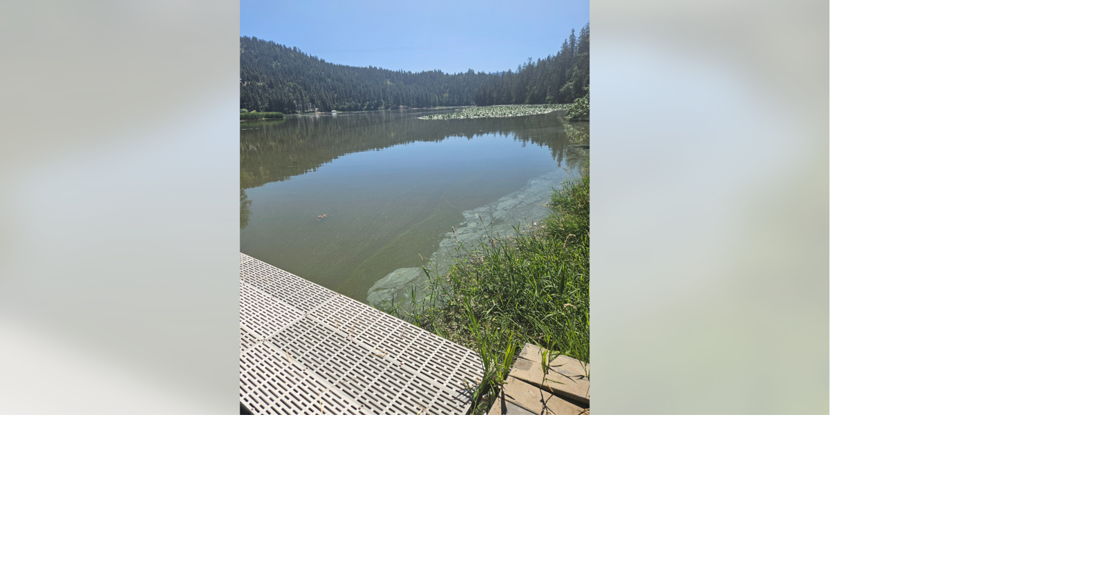 Health advisory issued for Hayden Lake due to harmful algal bloom
