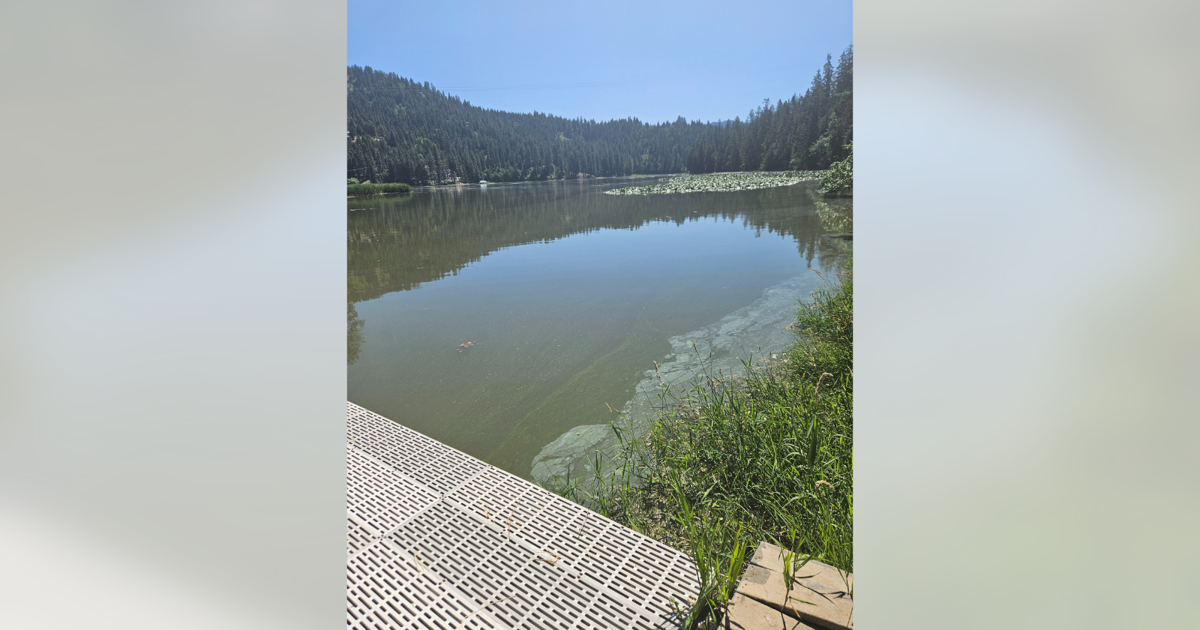 Health advisory issued for Hayden Lake due to harmful algal bloom