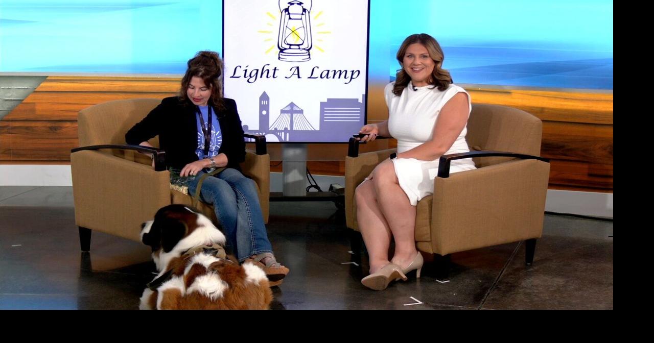 Annual Light up the Night fundraiser supports local mental health resources