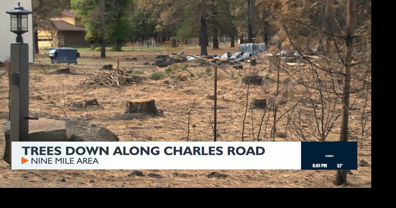 Trees down along Charles Road