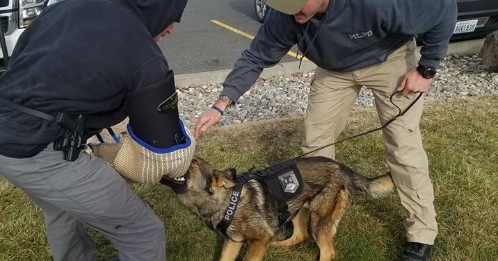 Moses Lake Police use spike strips and K9 “Chief” to catch wanted felon ...