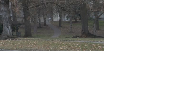 Extreme Team: Cowley Park to be filled with holiday lights to make spirits bright - Vimarsana News