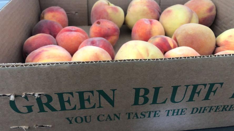 Pick some juicy peaches at Green Bluff before the season is over Food