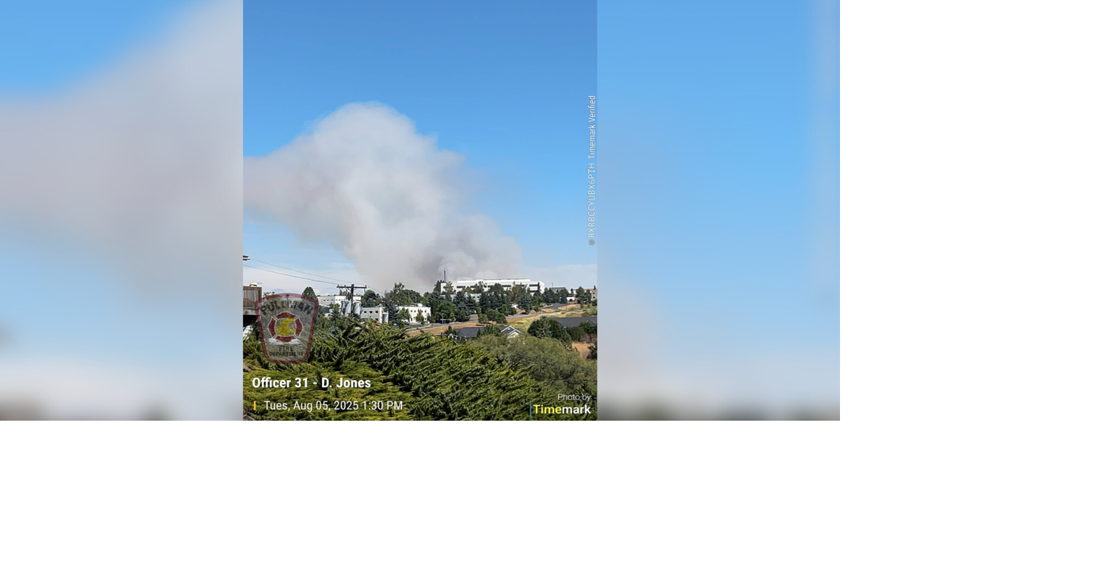 Firefighters control brush fire near Pullman | News | kxly.com