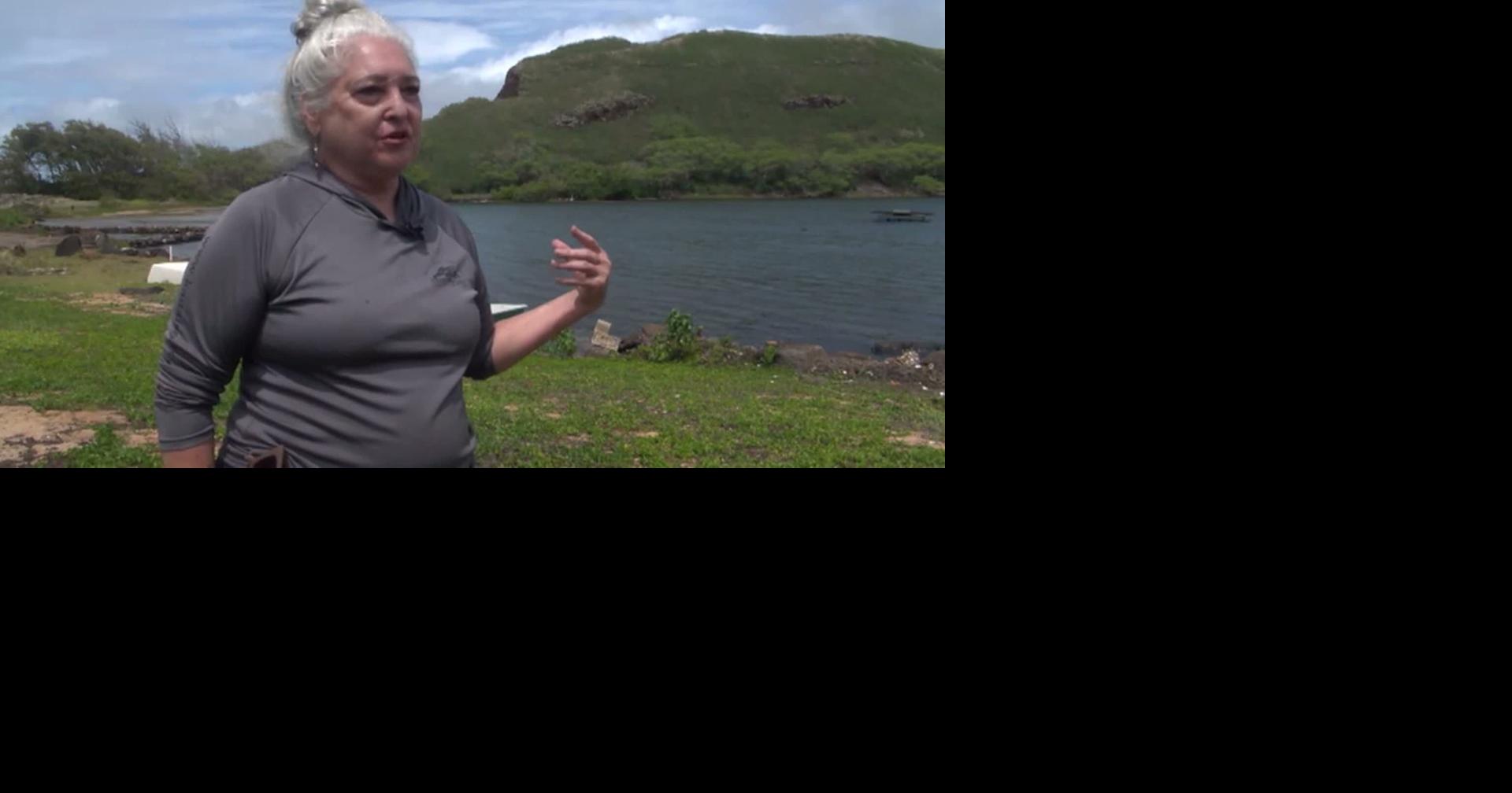 HI: HURRICANE THREATENS HISTORIC FAMILY POND