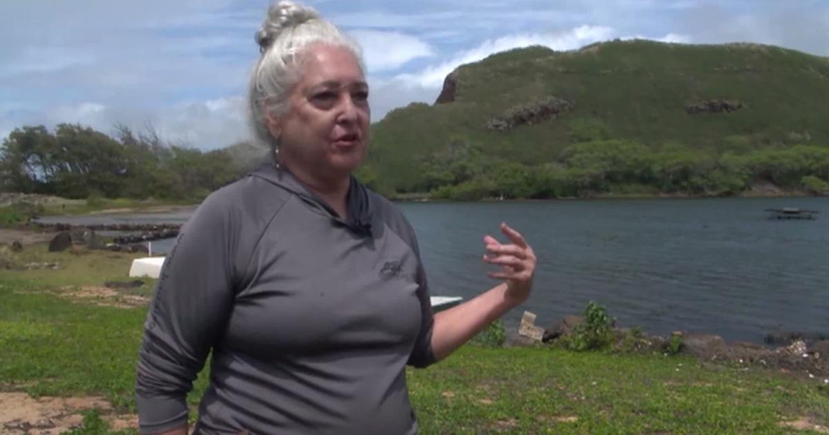 HI: HURRICANE THREATENS HISTORIC FAMILY POND