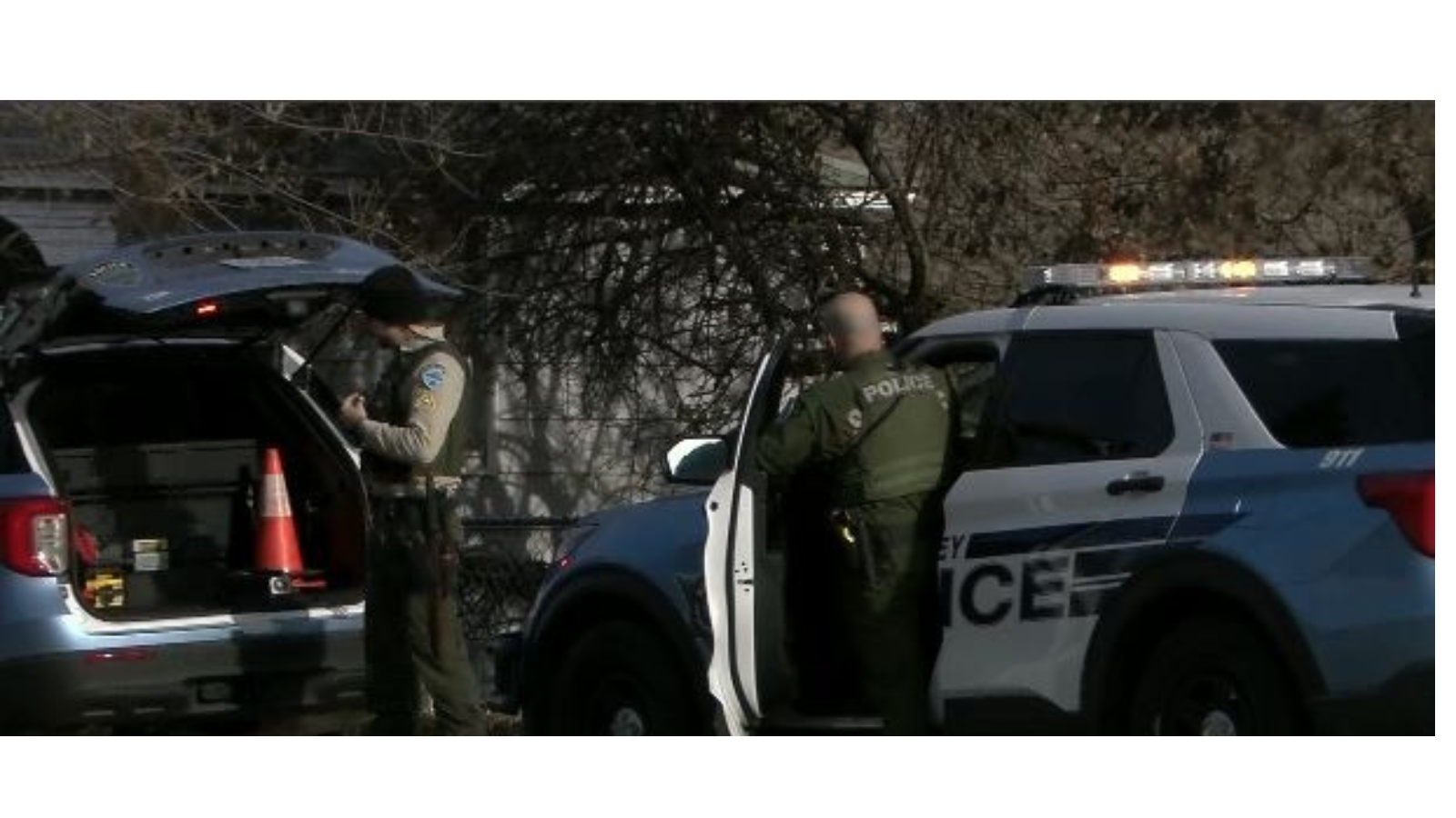 Deputies use gas and K9 to arrest domestic violence suspect in standoff ...