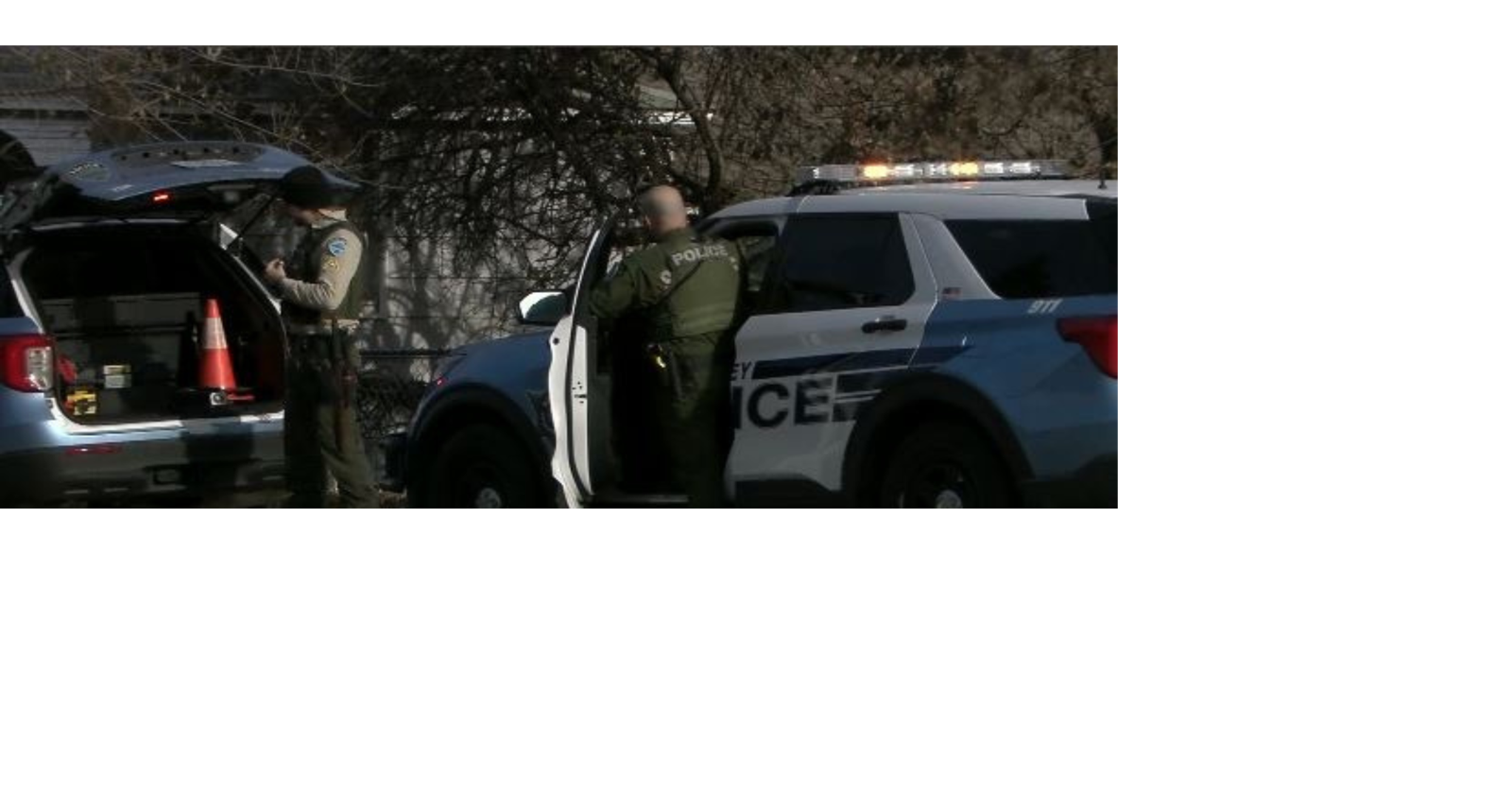 Deputies use gas and K9 to arrest domestic violence suspect in standoff ...
