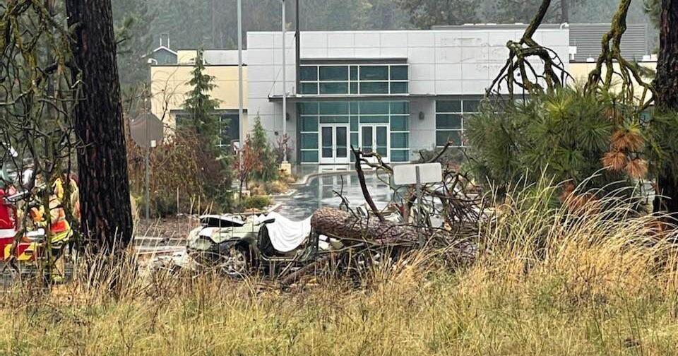 Woman killed after fallen tree smashes onto car in Coeur d'Alene | News ...