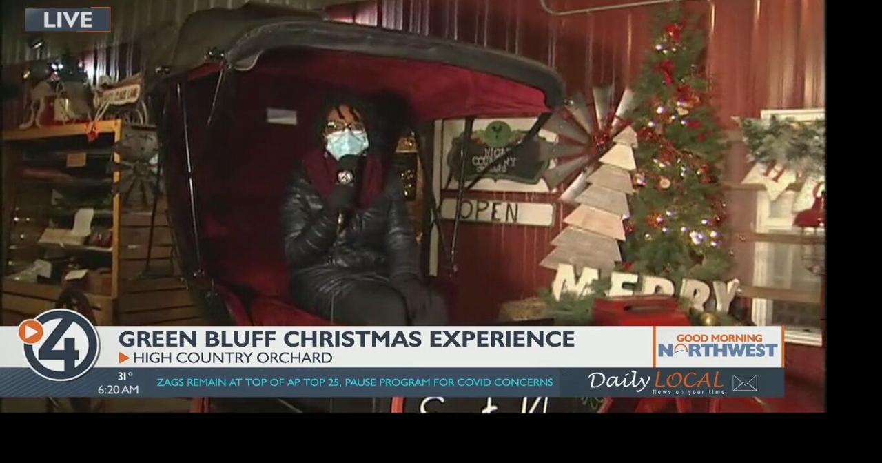 Get the Green Bluff Christmas experience at High Country Orchard