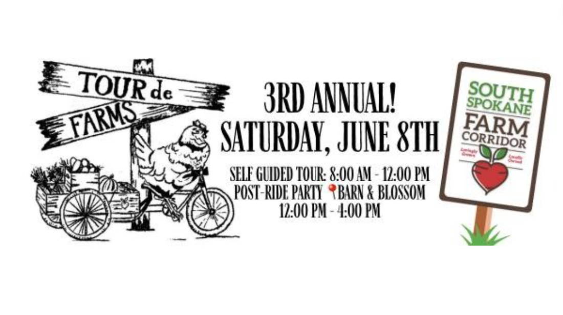 Third annual 