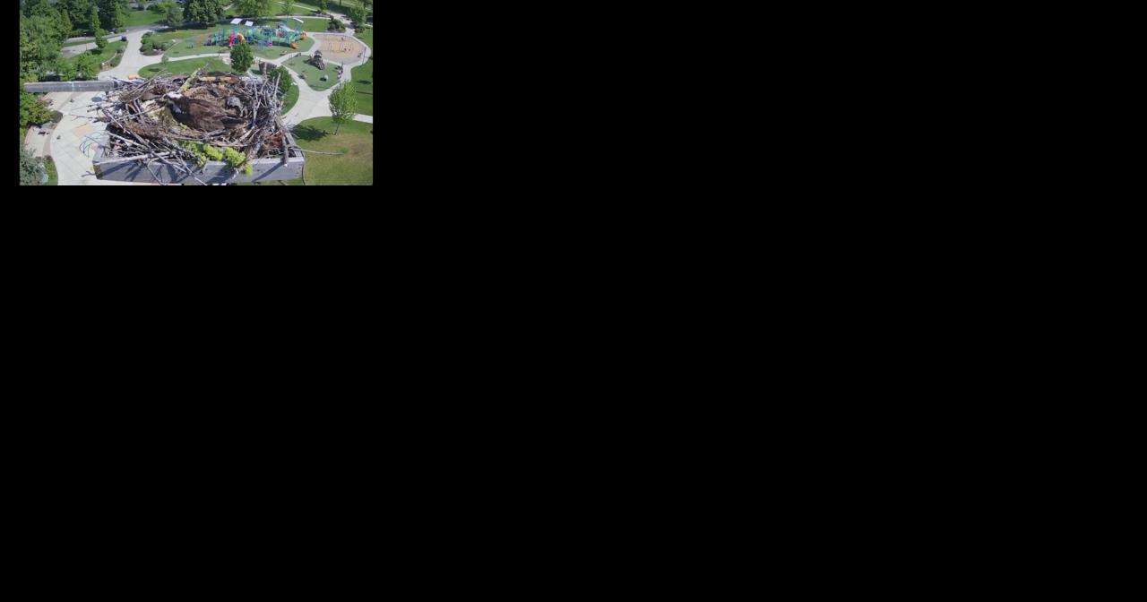 Coeur d'Alene's McEuen Park south camera shows osprey nesting - Vimarsana News