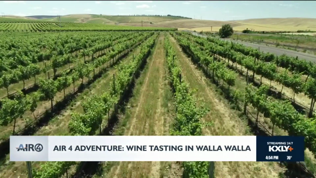 Ex-Pilots Transform Walla Walla’s Wine Scene
