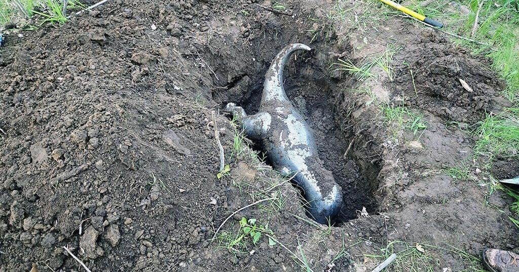Stolen metal T.rex statue recovered and returned