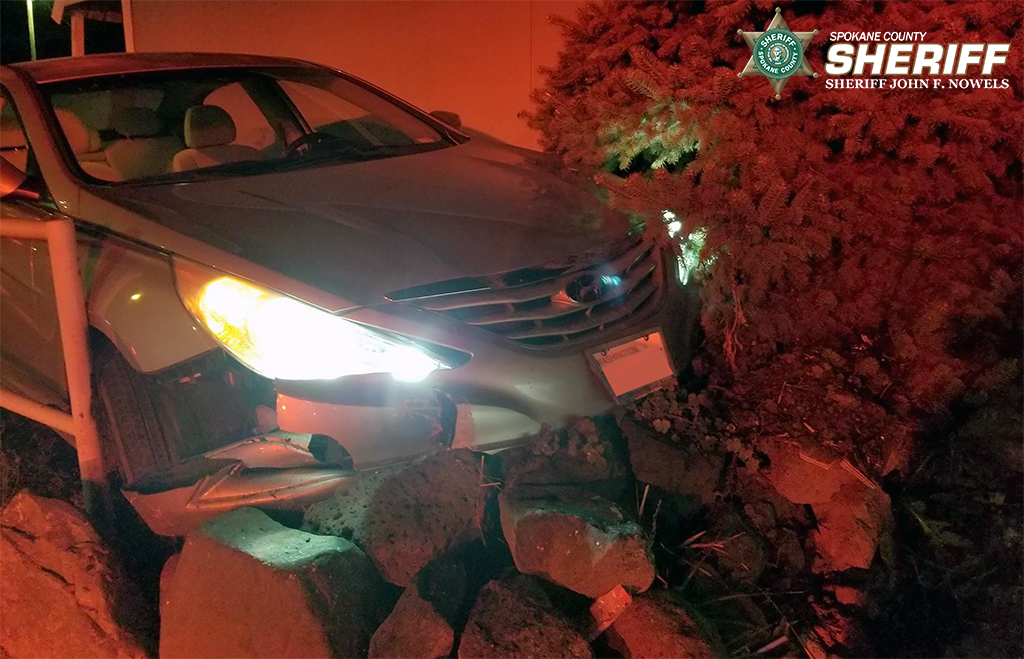 Woman arrested after stealing car, ramming patrol car and causing ...