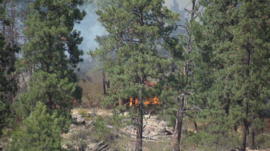 Brush fire burns five acres near Spokane Valley park | Firewatch | kxly.com