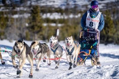 Idaho sled dog race begins Thursday | News | kxly.com