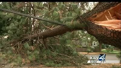 Strong winds down trees and powerlines | Local News | kxly.com